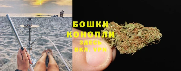 дурь Магас