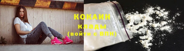 крисы Медвежьегорск
