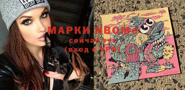 дурь Магас
