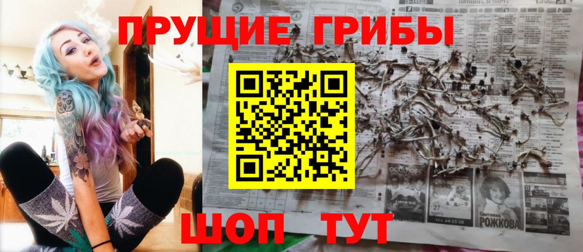 Мелеуз  Псилоцибиновые грибы Cubensis  Псилоцибиновые грибы мицелий  Вход с VPN 